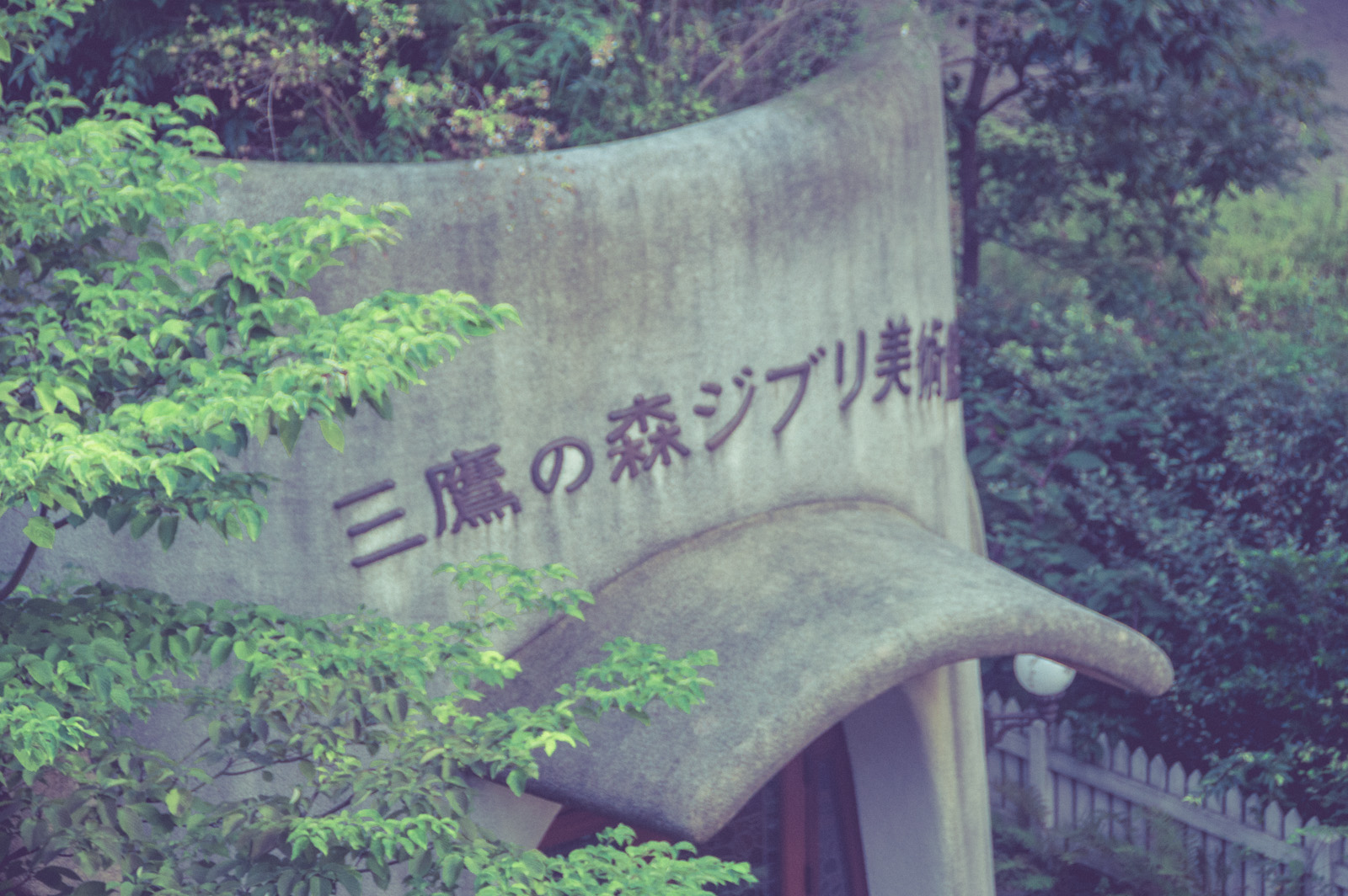 An Evening at the Ghibli Museum