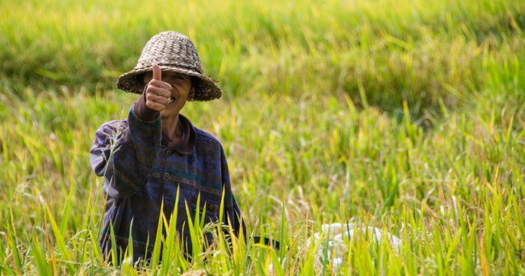 052 | Strangers :: Bali, Indonesia, 2013