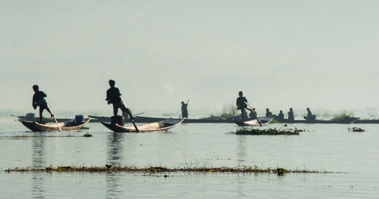 139 | Water :: Inle Lake, Myanmar, 2014