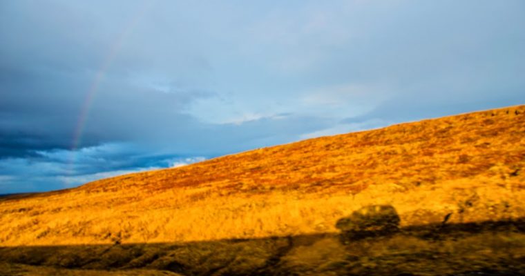 183 | Shadow :: Iceland, 2014