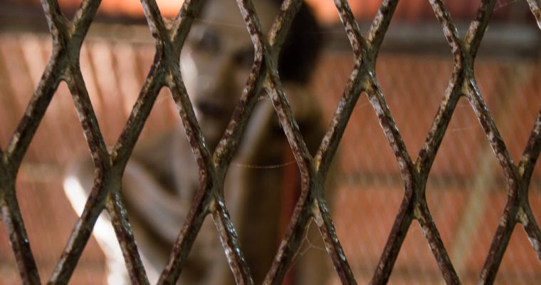 247 | Fences :: Mandalay, Myanmar, 2014