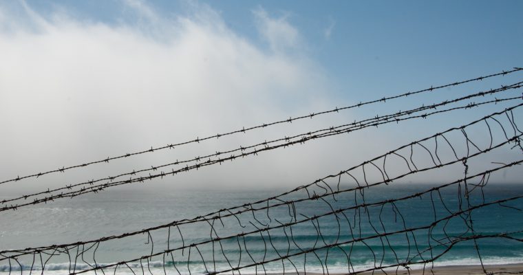 248 | Fences :: Highway 1, USA, 2012